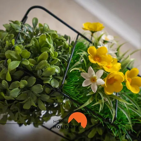 #149 Rocha By Holidays