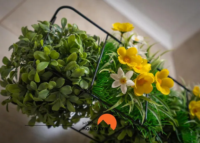 #149 Rocha By Holidays